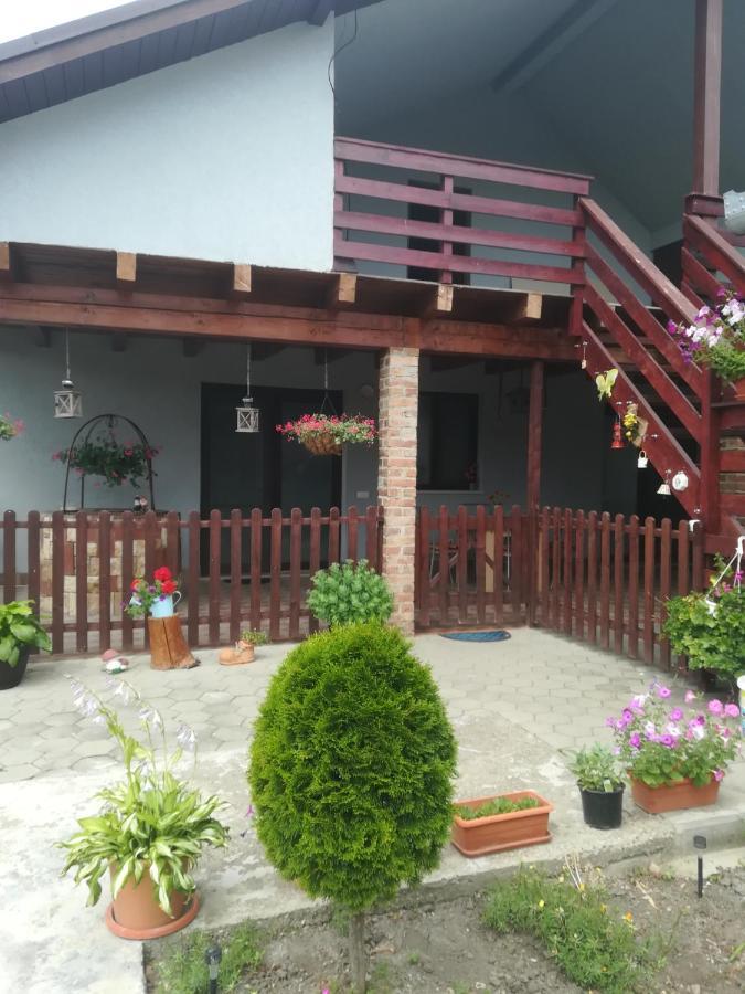Casa Ricciotti Villa Tritenii de Jos Ngoại thất bức ảnh