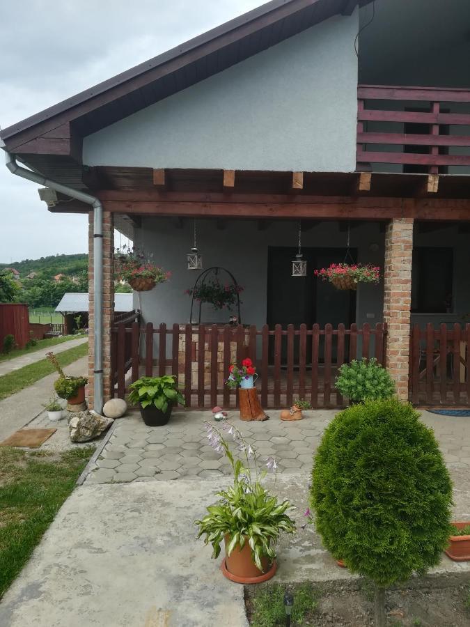 Casa Ricciotti Villa Tritenii de Jos Ngoại thất bức ảnh
